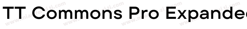 TT Commons Pro Expanded ExtraBold字体转换